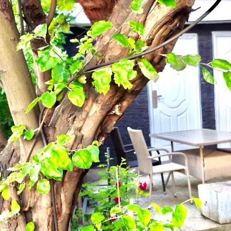 Lari And Klo * Sarajevo