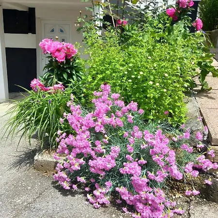 Lari And Klo Saraievo