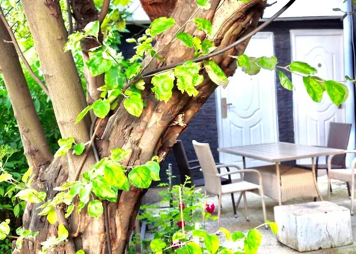 Lari And Klo * 사라예보