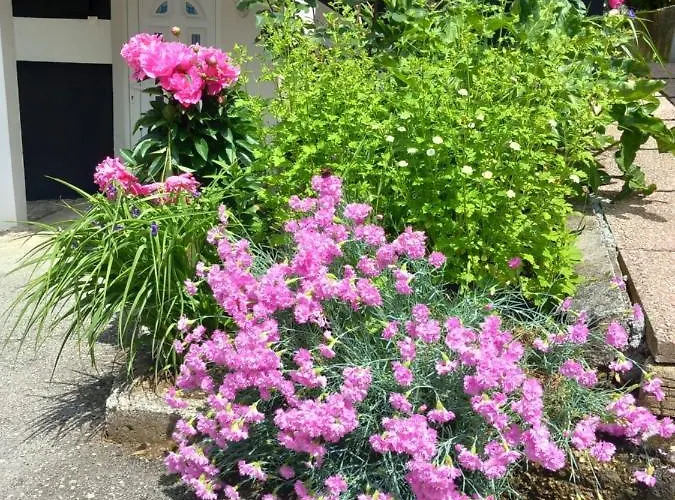 Lari And Klo 사라예보